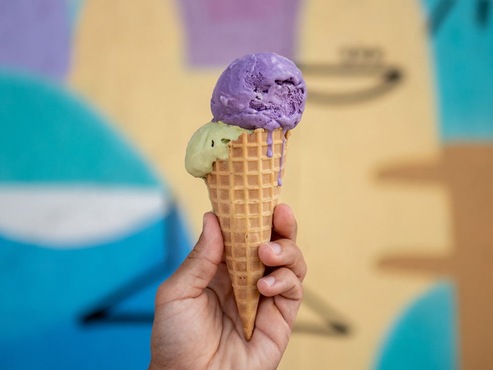 Hammonds Ice Cream